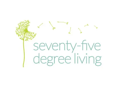 Logo design for local interior decorator/coach design logo