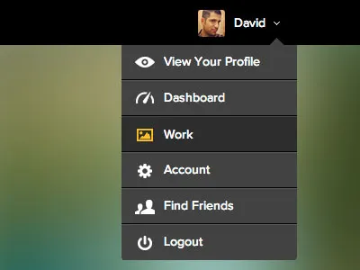 Dropdown Menu dropdown menu