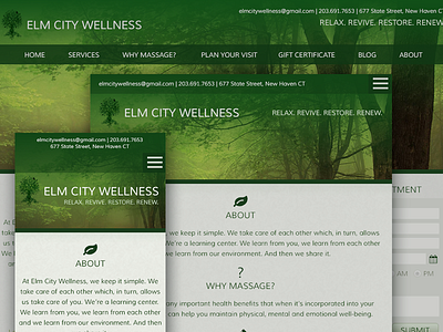 Elm City Wellness - Responsive Design connecticut green nature responsive website