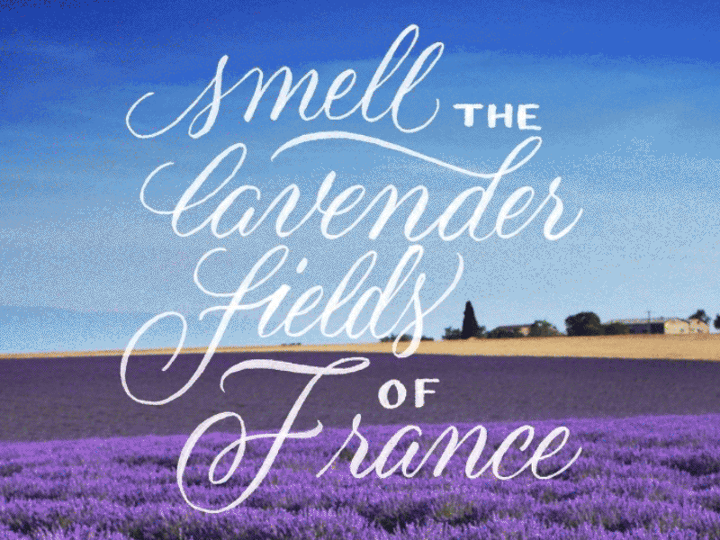 Venture Bucketlist | Lavender Fields [GIF] advertising bucketlist capital one ink inverted lettering script series type typography venture card