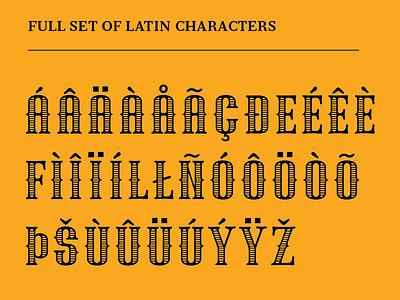 Ivana DSP - more processs design display type font ivana font typeface design typography