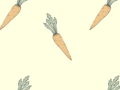 Carrots carrot pattern carrots food illustration