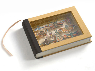 Collection - 'Browsing Copy' project animals browsing copy creatures entomology for browsing only insects