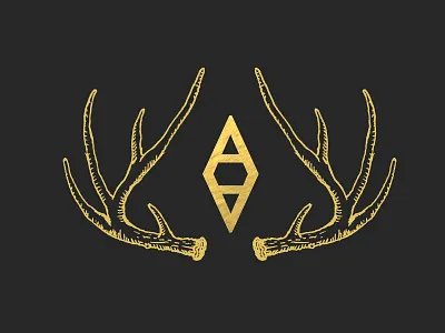 Secret Project drawing drawn focus lab gold foil hand drawn illustration pen