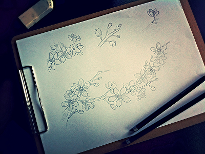 Drawing - Cherry Blossom Small blossom cherry flowers sketch tattoo