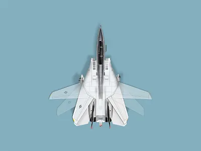 F-14 made in PSD airplane f 14 f14 plane us airforce