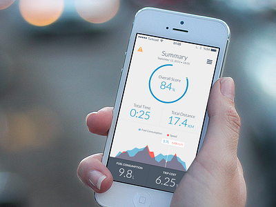 trip summary dashboard data visualization graph iphone 5 summary trip