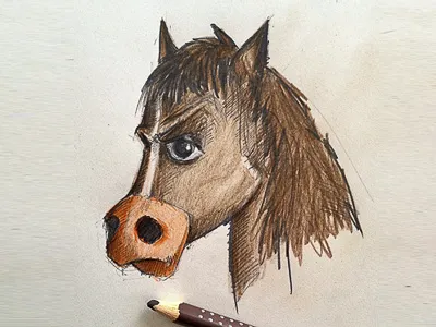 Angry horse? drawing horse pencil sketch