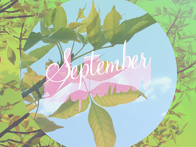 September Memory autumn bygone era fall green leaves pink type