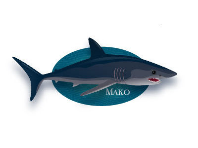 Mako Shark blue illustrator ocean shark teeth