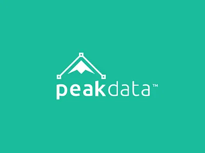 Peak Data clean data flat logo mountain peak point