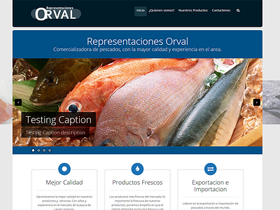 Representaciones ORval web