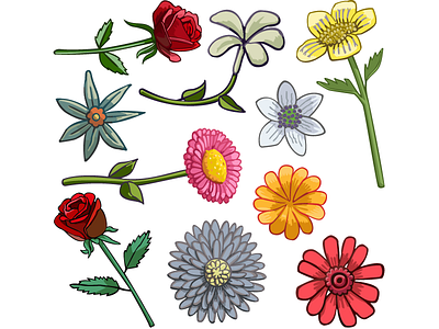 Flowers3 art commercial flowers illustration