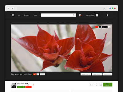 Image view page - f9pix f9pix minimal photo view photography simple ui