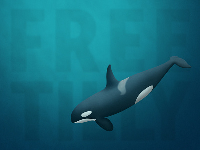 Free Tilly animal cause free illustration killer whale mammal ocean orca texture underwater vector whale