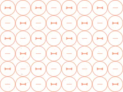 Bone Pattern bone branding circles hash mark kat k modern orange pattern photography