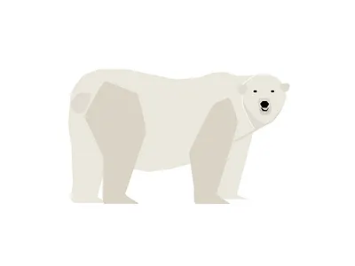 Polar Bear illustration polar bear