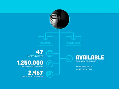 Stats for Portfolio Site arrows flowchart footer hierarchy icons infographics ios7 level stats typography website