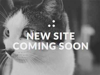 Launching Soon cat coming soon gif