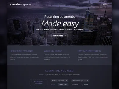 Peakium Spaces bitcoin dark form landingpage payment paypal peakium recurring signup stripe