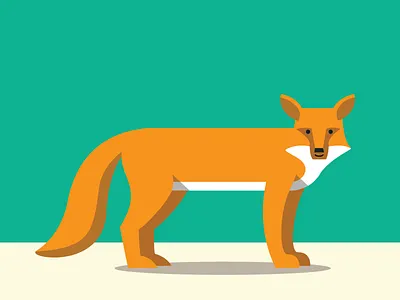 Fox abc animals color flat fox illustration simple