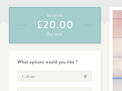 Product Status & Options clothing ecommerce form pastel product shop status stock type typography ui web