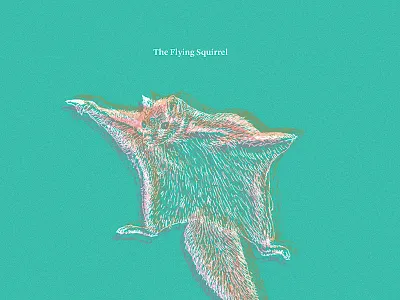 092713 dodgeball msced personal the flying squirrel