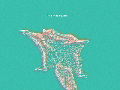 092713 dodgeball msced personal the flying squirrel
