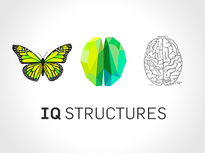 IQ STRUCTURES / idea behind the logo branding concept indentity logo