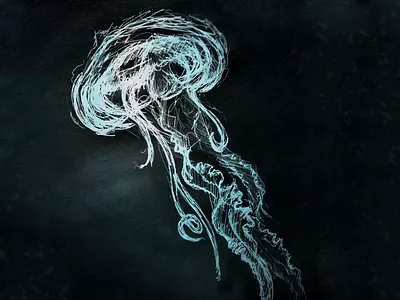 Jellyfish jellyfish line drawing sketch