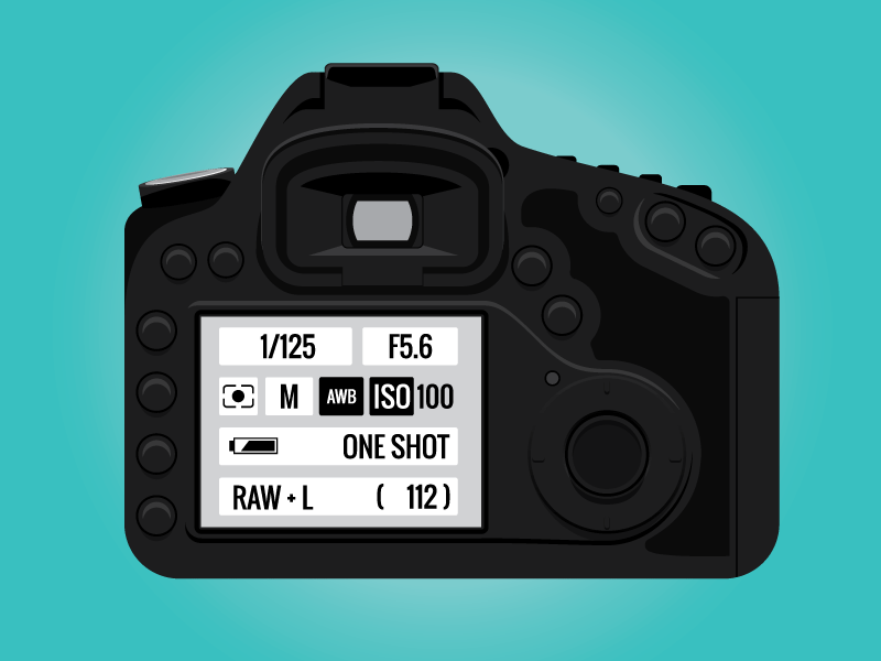 Camera Settings camera dslr flat illustration oswald vector