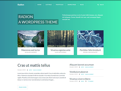 Radion theme clean minimal theme wordpress