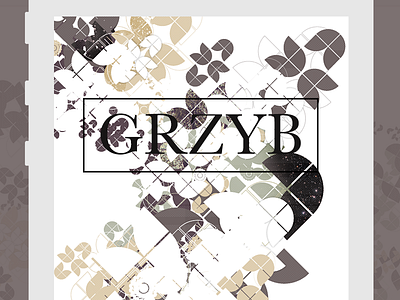 Grzyb