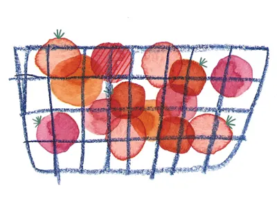 The Essentials—Cherry Tomatoes colored pencil coloured pencil food groceries illustration list tomato tomatoes watercolor watercolour