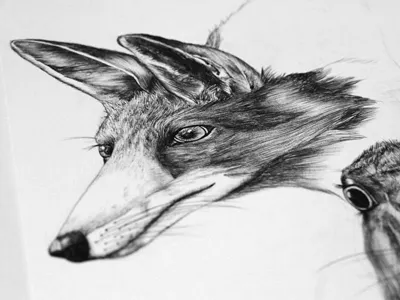 Deep forest animal fox illustration realistic