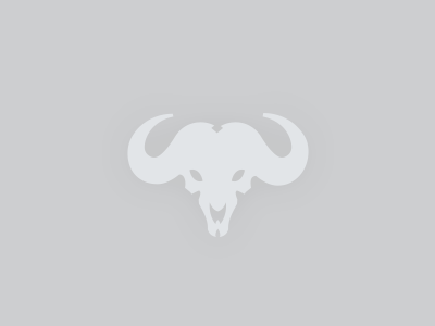 Alta No Go logo skull waterbuffalo