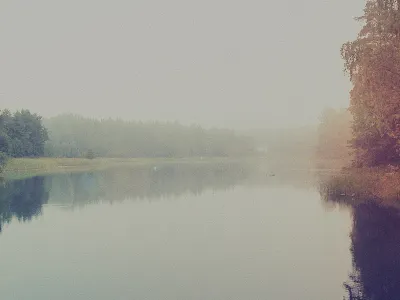 Foggy day fog lake photo