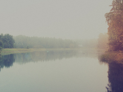 Foggy day fog lake photo