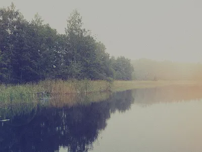 Foggy day fog lake photo