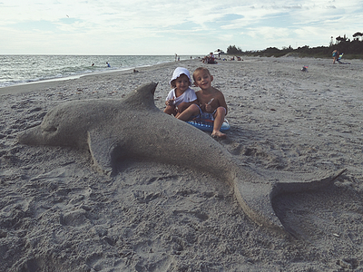 Sand Dolphin 3d dolphin florida ocean sand sculpture sea tip