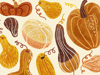 Autumn Gourds autumn digital art fall colors gourd halloween illustration october pumpkin