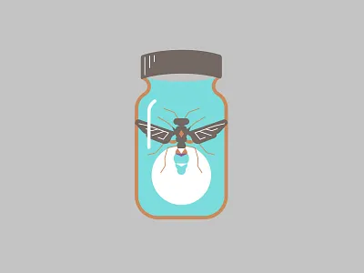 Firefly in a Jar animal bug fire firefly fly jar