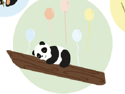 Panda illustration