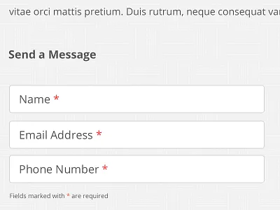 Simple Form form grey inputs red required shock horror texture white