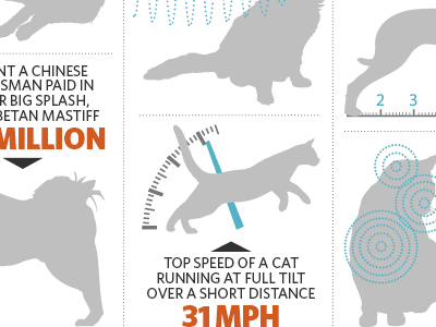 The Truth about Cats and Dogs