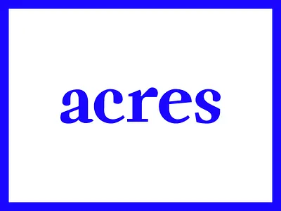 Acres custom type fuzzco serif weird
