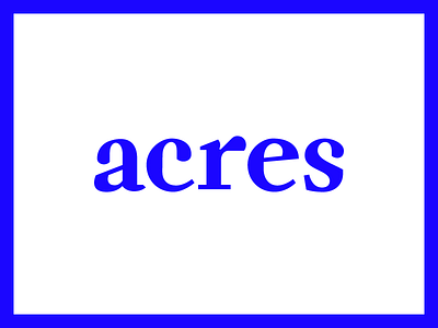Acres custom type fuzzco serif weird