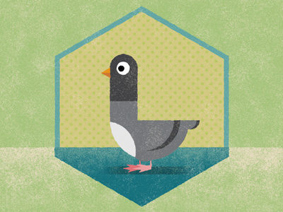 Homing Pigeon icon pigeon texture vector