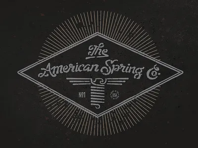 The American Spring Co. american bruner design eagle illustration logo mike retro spring