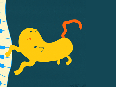 GIF: Keyboard Cat animal cat frame by frame gif keyboard keyboard cat photoshop piano